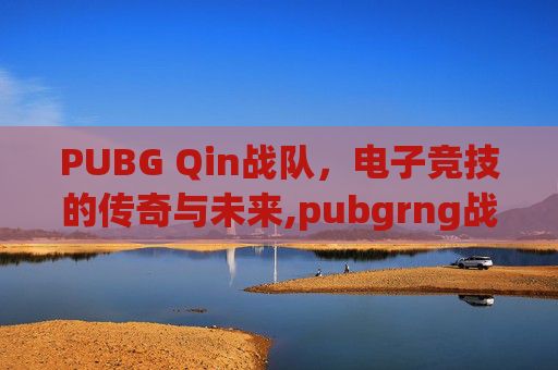 PUBG Qin战队，电子竞技的传奇与未来,pubgrng战队