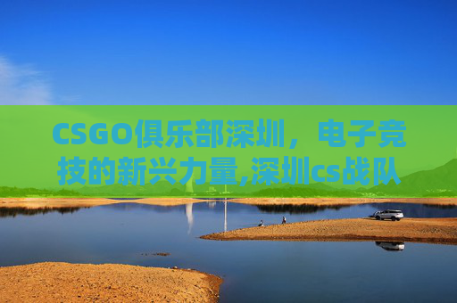 CSGO俱乐部深圳，电子竞技的新兴力量,深圳cs战队