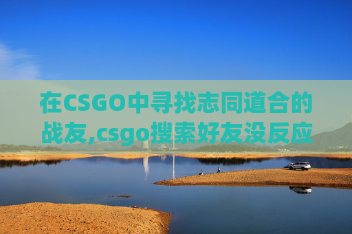 在CSGO中寻找志同道合的战友,csgo搜索好友没反应