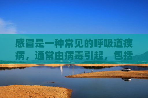 感冒是一种常见的呼吸道疾病，通常由病毒引起，包括多种不同的类型。了解不同类型的感冒有助于我们更好地理解其症状、传播方式和治疗方法。以下是几种常见的感冒分类及其特点。,感冒分类及症状