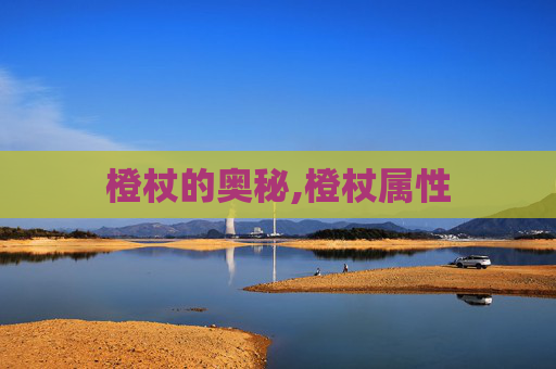 橙杖的奥秘,橙杖属性