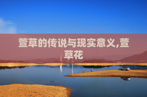 萱草的传说与现实意义,萱草花