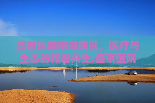 盛京医院南湖院区，医疗与生态的和谐共生,盛京医院南湖院区属于哪个区