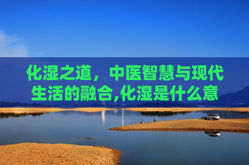 化湿之道，中医智慧与现代生活的融合,化湿是什么意思