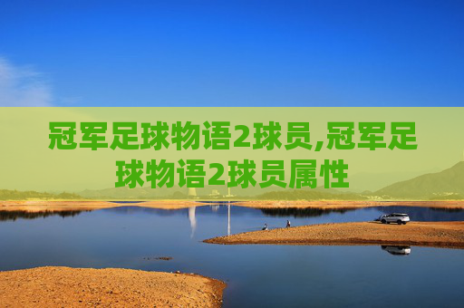 冠军足球物语2球员,冠军足球物语2球员属性
