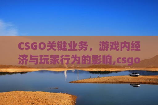 CSGO关键业务，游戏内经济与玩家行为的影响,csgo关键人是什么