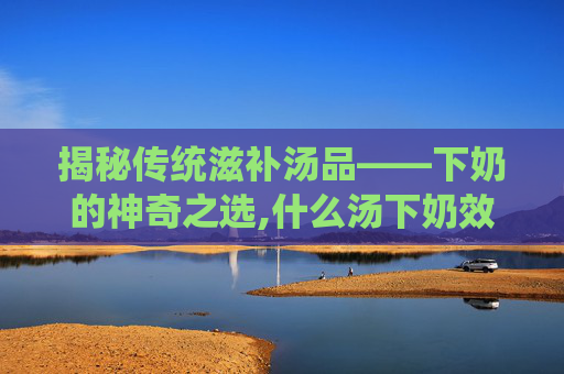 揭秘传统滋补汤品——下奶的神奇之选,什么汤下奶效果最好