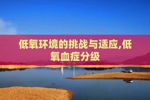 低氧环境的挑战与适应,低氧血症分级