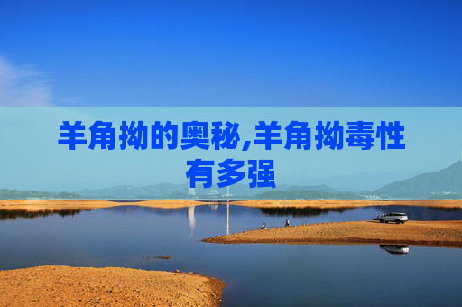 羊角拗的奥秘,羊角拗毒性有多强