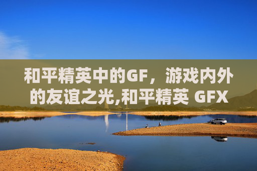和平精英中的GF，游戏内外的友谊之光,和平精英 GFX Tool