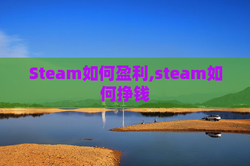 Steam如何盈利,steam如何挣钱