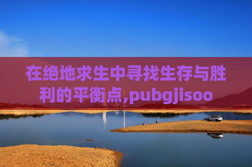 在绝地求生中寻找生存与胜利的平衡点,pubgjisoo