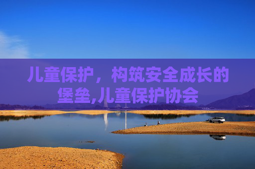 儿童保护，构筑安全成长的堡垒,儿童保护协会