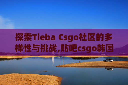 探索Tieba Csgo社区的多样性与挑战,贴吧csgo韩国恶