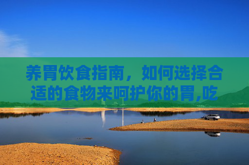 养胃饮食指南，如何选择合适的食物来呵护你的胃,吃什么比较养胃还治疗胃病