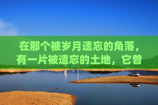 在那个被岁月遗忘的角落，有一片被遗忘的土地，它曾经是繁华都市的缩影，如今却只剩下了荒芜与寂静。然而，就在这一片荒凉之中，却隐藏着一个不为人知的秘密——逆战初晴。,逆战初霜ryon