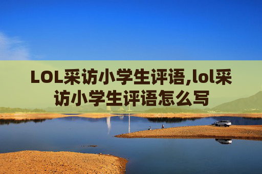 LOL采访小学生评语,lol采访小学生评语怎么写
