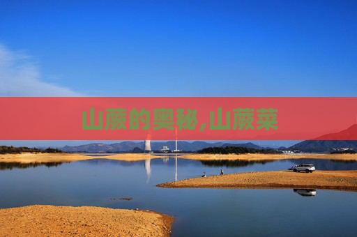 山蕨的奥秘,山蕨菜