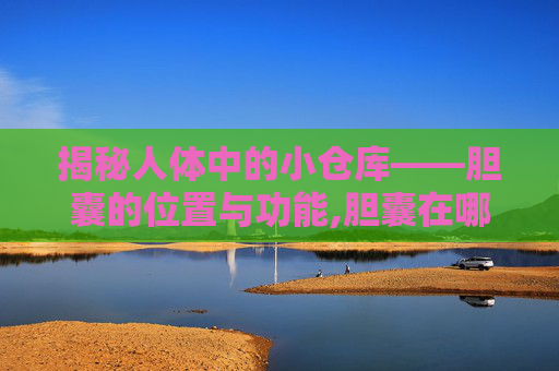 揭秘人体中的小仓库——胆囊的位置与功能,胆囊在哪边左侧还是右侧