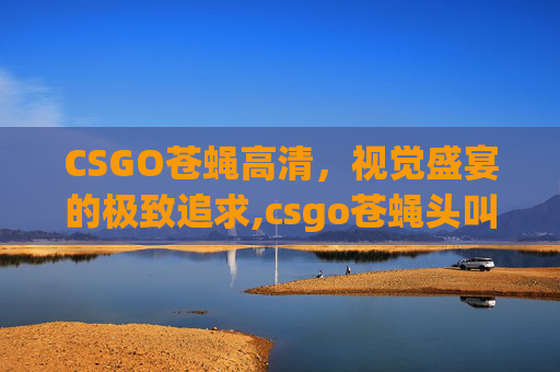 CSGO苍蝇高清，视觉盛宴的极致追求,csgo苍蝇头叫什么