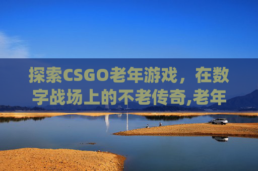 探索CSGO老年游戏，在数字战场上的不老传奇,老年csgo战队