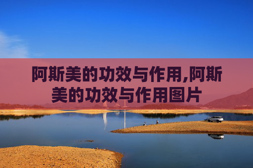 阿斯美的功效与作用,阿斯美的功效与作用图片