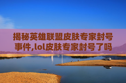 揭秘英雄联盟皮肤专家封号事件,lol皮肤专家封号了吗