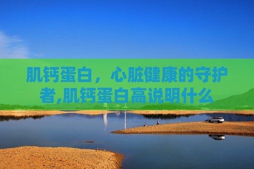肌钙蛋白，心脏健康的守护者,肌钙蛋白高说明什么