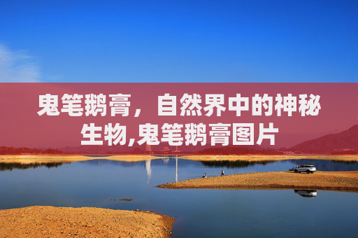 鬼笔鹅膏，自然界中的神秘生物,鬼笔鹅膏图片