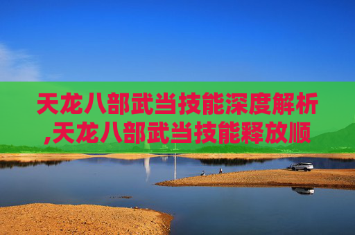 天龙八部武当技能深度解析,天龙八部武当技能释放顺序