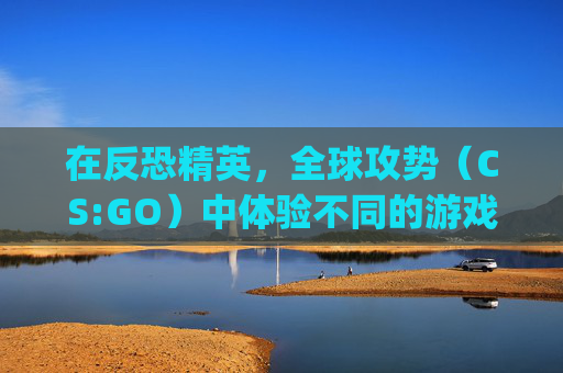 在反恐精英，全球攻势（CS:GO）中体验不同的游戏风格,csgo租装备平台