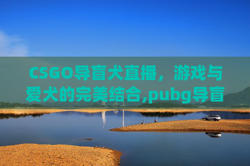 CSGO导盲犬直播，游戏与爱犬的完美结合,pubg导盲犬是什么意思