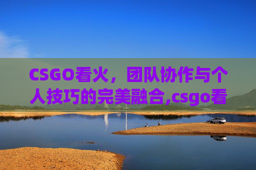 CSGO看火，团队协作与个人技巧的完美融合,csgo看火后面