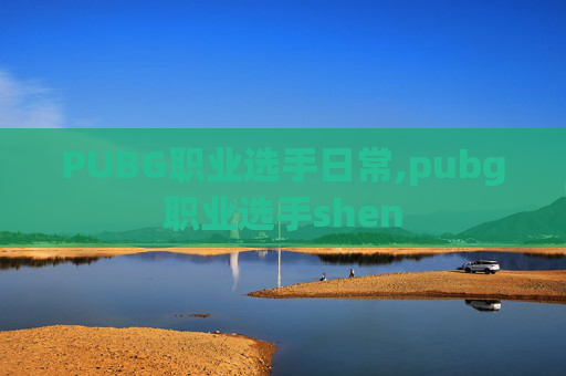 PUBG职业选手日常,pubg职业选手shen