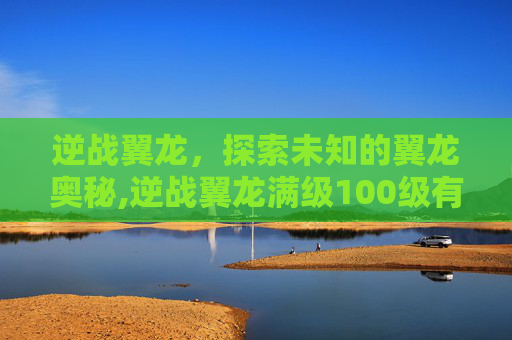 逆战翼龙，探索未知的翼龙奥秘,逆战翼龙满级100级有吗