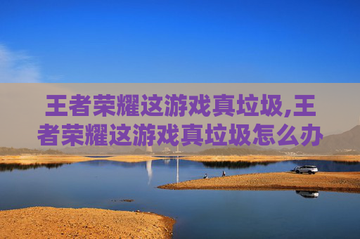 王者荣耀这游戏真垃圾,王者荣耀这游戏真垃圾怎么办