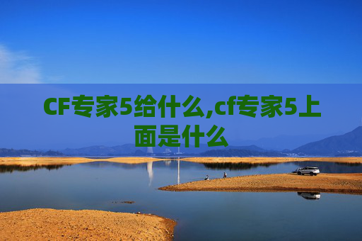 CF专家5给什么,cf专家5上面是什么