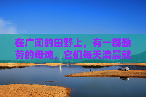 在广阔的田野上，有一群勤劳的母鸡，它们每天清晨就开始忙碌起来。太阳刚刚露出笑脸，母鸡们便开始了一天的工作——下蛋。,母鸡生蛋需要交配吗