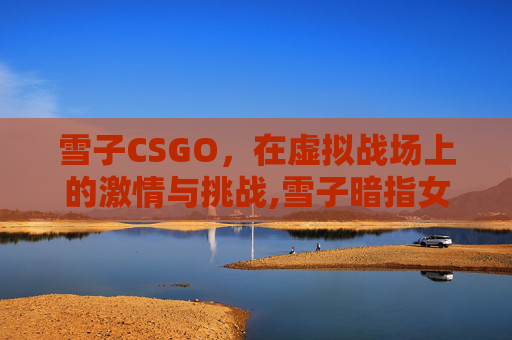雪子CSGO，在虚拟战场上的激情与挑战,雪子暗指女人什么