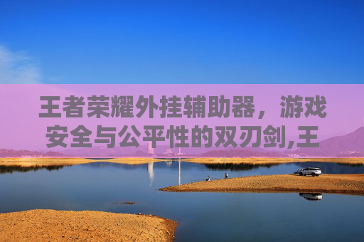 王者荣耀外挂辅助器，游戏安全与公平性的双刃剑,王者荣耀辅助挂下载