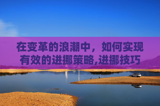 在变革的浪潮中，如何实现有效的进挪策略,进挪技巧