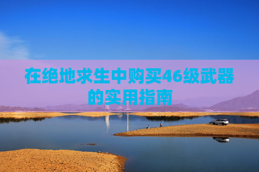 在绝地求生中购买46级武器的实用指南