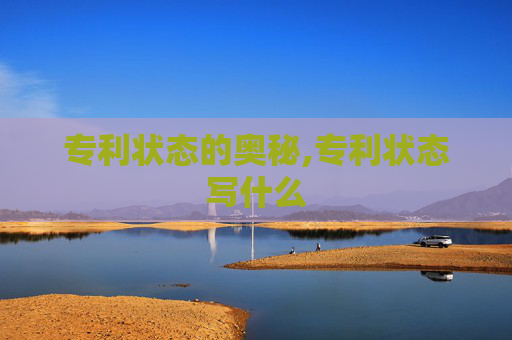 专利状态的奥秘,专利状态写什么