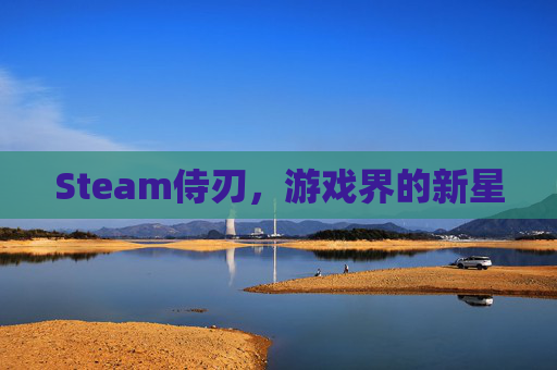 Steam侍刃，游戏界的新星