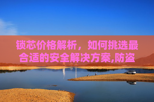 锁芯价格解析，如何挑选最合适的安全解决方案,防盗门锁芯多少钱