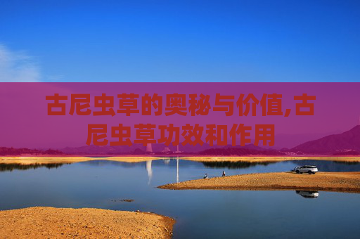 古尼虫草的奥秘与价值,古尼虫草功效和作用