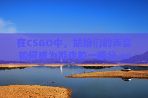 在CSGO中，姑娘们的声音如何成为游戏的一部分,csgo妹子语音