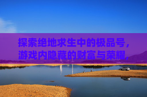 探索绝地求生中的极品号，游戏内隐藏的财富与荣耀,pubg低价账号