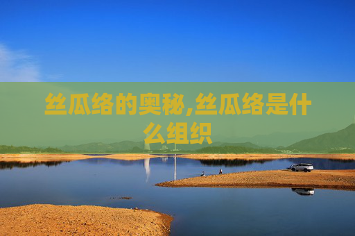 丝瓜络的奥秘,丝瓜络是什么组织