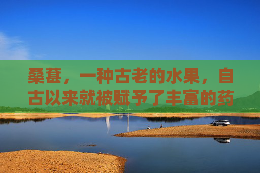 桑葚，一种古老的水果，自古以来就被赋予了丰富的药用价值。在中国传统医学中，桑葚不仅是一种美味的果实，更是一种具有多种功效的药材。本文将深入探讨桑葚的功效，为您揭开这一神秘果物的神秘面纱。,桑葚功效与作用及营养价值